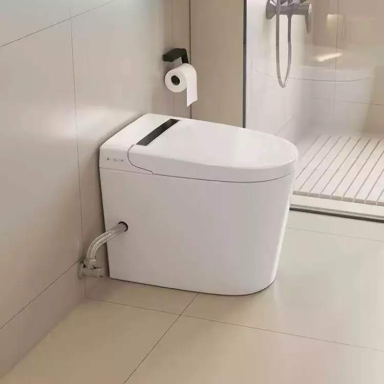 Zamonaviy minimalist aqlli hojatxona